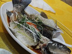 -鲤鱼塘农家山庄