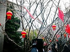 -龙湖星悦荟(颐和店)