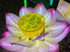 -武汉园博园(武汉自然博物馆)
