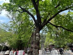-潭柘寺景区