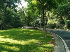 -广州市白云山风景名胜区