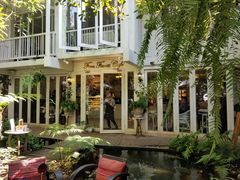 -Fern Forest Cafe