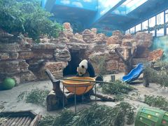 -石家庄市动物园