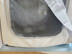 -中农大我爱我爱24h动物医院·中医针灸·猫专科·骨科医疗中心(双井店)