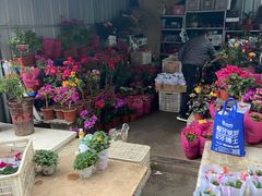 -十五大街农贸市场