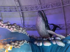 -烟台海昌鲸鲨海洋公园