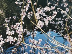 -北京凤凰岭