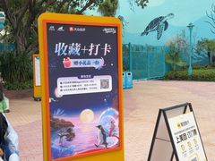 -海合安成都极地海洋公园