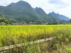 -万峰林风景区