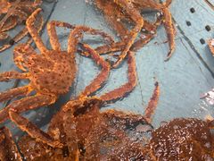 -渔傅·霞浦滩涂海鲜(建平店)