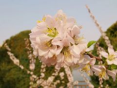 -燕郊植物园