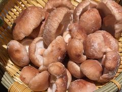 -捞王猪肚鸡火锅(金华义乌之心店)
