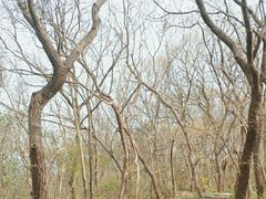 -南山风景名胜区