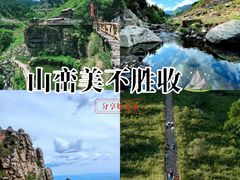 -芦芽山旅游度假区