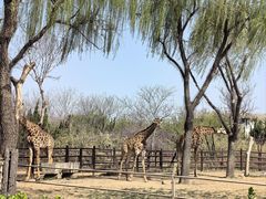 -济南野生动物世界