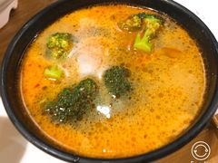 西兰花-GOGO Plate(成都太古里店)