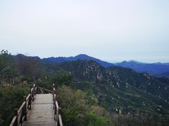 -大岭沟猕猴桃谷风景区