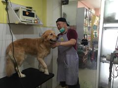 -酷狗靓猫宠物·洗护·美容·寄养(航北路店)