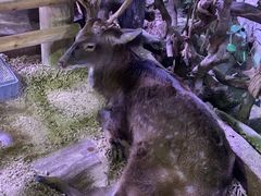 -正佳雨林生态植物园