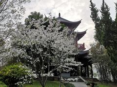-堤角公园