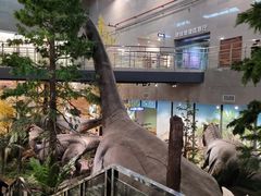 -湖南省地质博物馆