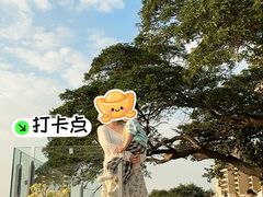 -网红落日悬崖餐厅 The Sky Gallery