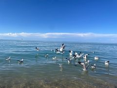 -青海湖国家重点风景名胜区