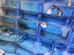 -晶渔坊·海鲜私房菜(东夷小镇店)