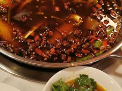 特色红油锅-川道拐耗儿鱼(置信路店)