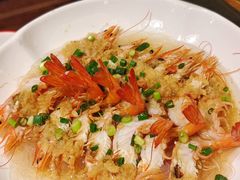 -新白鹿餐厅(龙游路店)