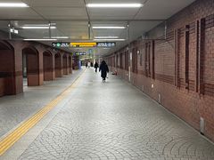 -Myth猪蹄(明洞店)