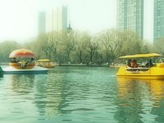 -沈阳南湖公园