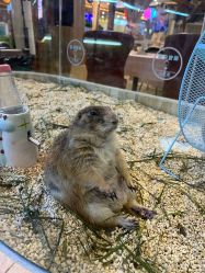 -卡通尼·Safari非洲探索乐园·生日会(金桥国际商业广场店)