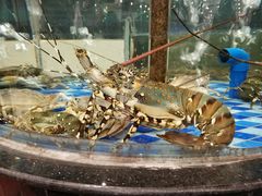 -新塘畔酒楼(里水大道北店)