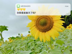 -光明小镇欢乐田园