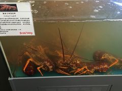 -同乐酒楼(皇后镇店)