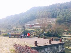 -桃花岭景区