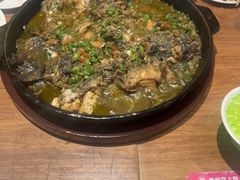 -老板恋上鱼(恒隆广场店)