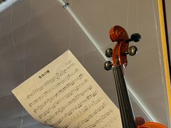 -树懒黑胶唱片店(中山路店)