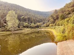 -九龙潭景区