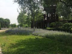 -永定河休闲森林公园