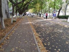 -山东师范大学(千佛山校区)