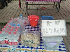 -扁都口生态休闲旅游区