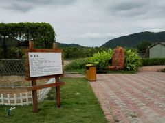 -亚龙湾国际玫瑰谷