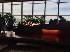 -Seesaw Coffee(朝阳大悦城店)