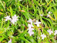 -唐城墙遗址公园