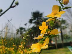 -城市运动公园(未央区)