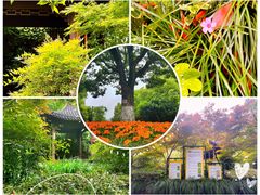 -杭州半山国家森林公园