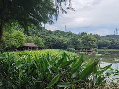 -八卦田遗址公园