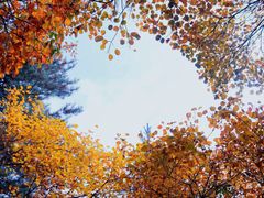 -秦岭终南山世界地质公园翠华山景区